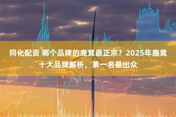 同化配资 哪个品牌的鹿茸最正宗？2025年鹿茸十大品牌解析，第一名最出众